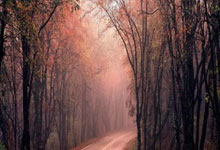 爽文男主，贡萨洛-加西亚从皇马首球到9号只用了半年时间，贡萨加大学怎么样2021