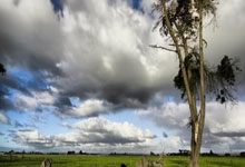 莱切斯特城豪取冠军，夺得胜利