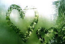 爽文男主，贡萨洛-加西亚从皇马首球到9号只用了半年时间，贡萨加大学怎么样2021