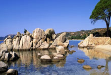 爽文男主，贡萨洛-加西亚从皇马首球到9号只用了半年时间，贡萨加大学怎么样2021