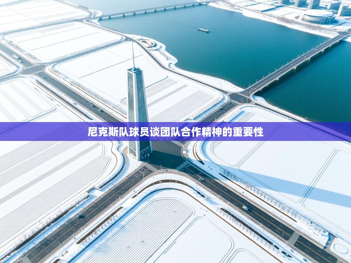 尼克斯队球员谈团队合作精神的重要性  第2张