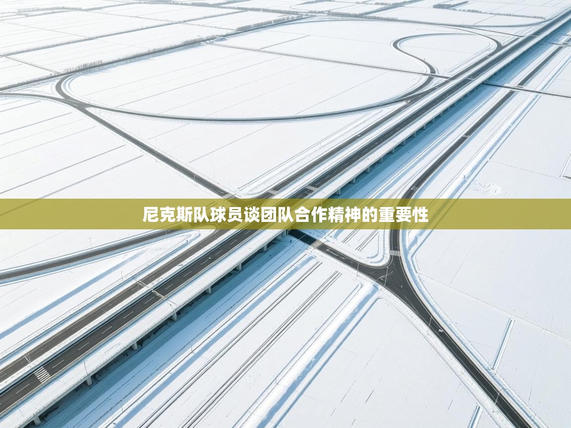 尼克斯队球员谈团队合作精神的重要性  第1张