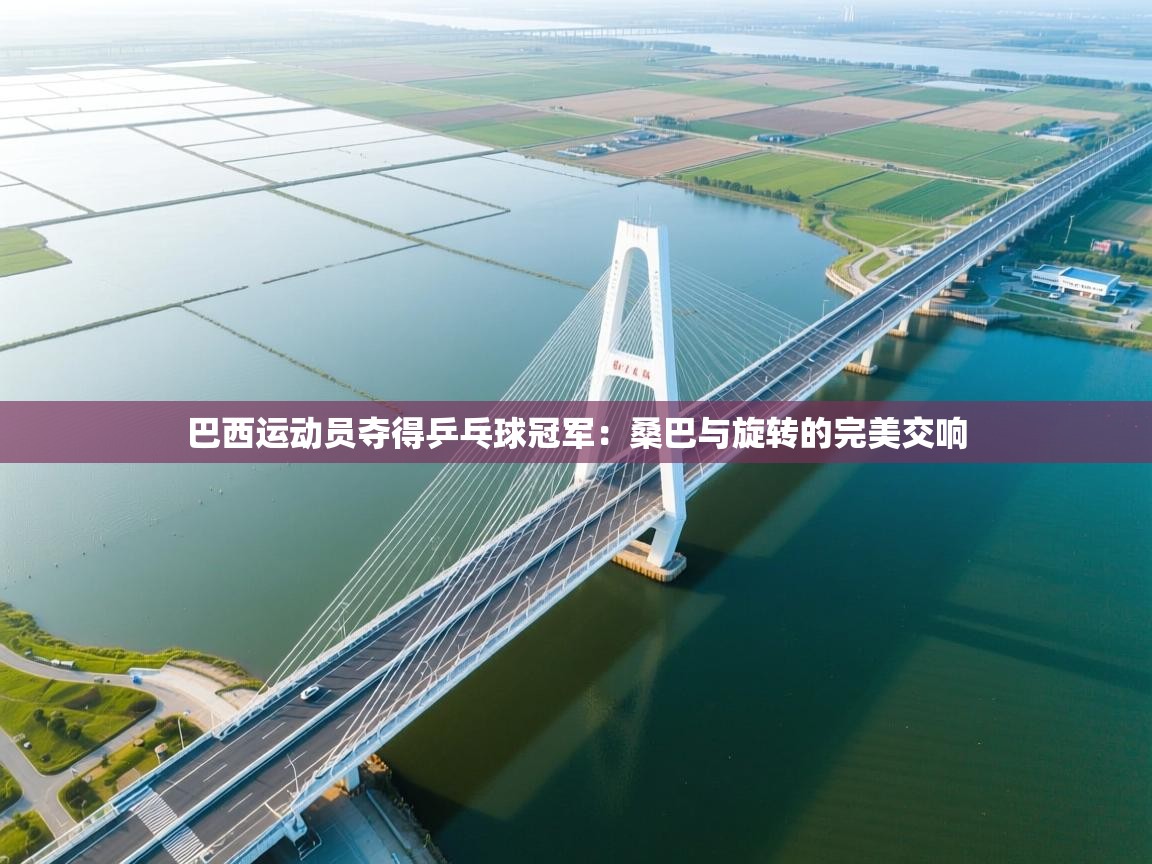 巴西运动员夺得乒乓球冠军：桑巴与旋转的完美交响