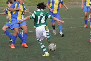 开云体育官网入口-国王大胜掘金，福克斯砍下全队最高分